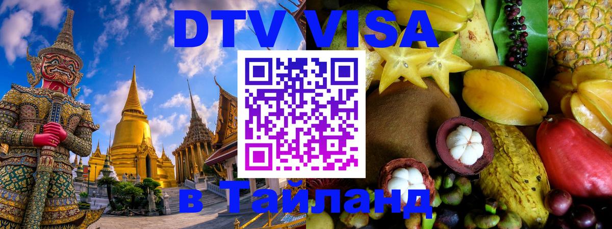Оформление DTV визы под ключ: стоимость и тарифы, только загранпаспорт - Саратов  03.10.2025 